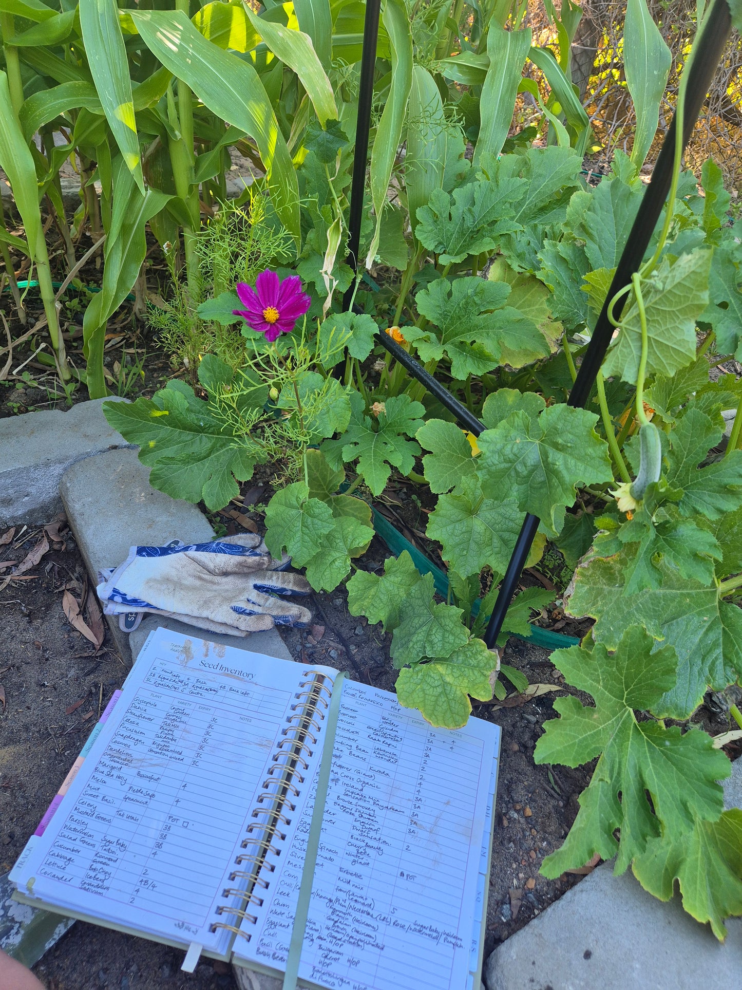 Seasonal Garden Planner